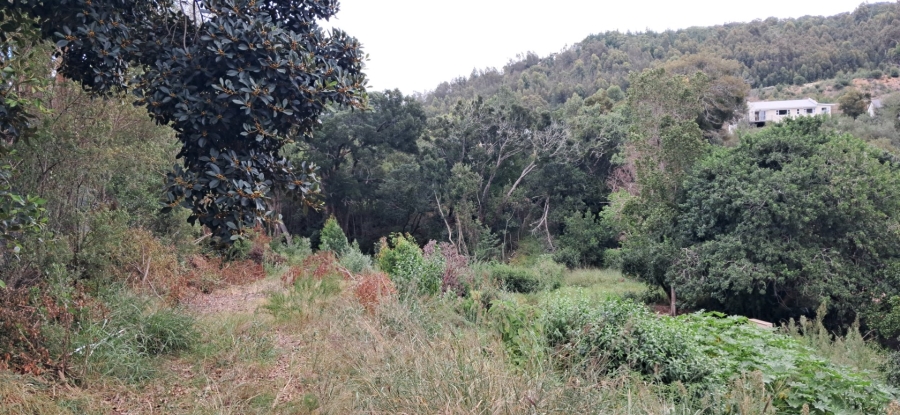  Bedroom Property for Sale in Phantom Village Western Cape